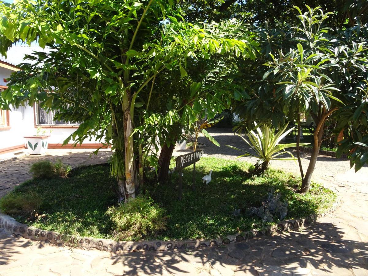 White Rose Lodge Livingstone Kültér fotó